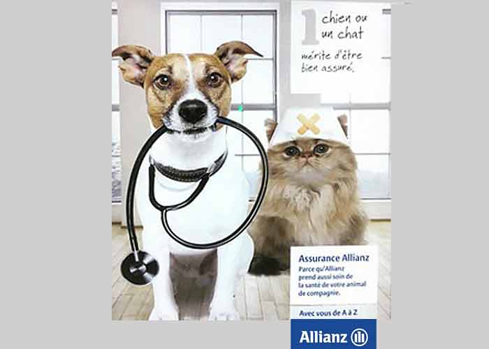 Allianz Cavalaire - Assurance chien chat